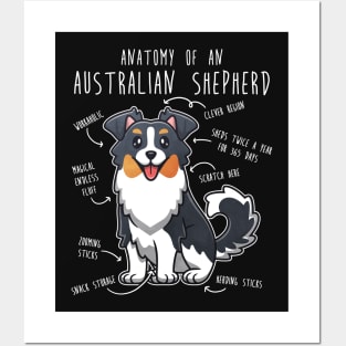 Australian Shepherd Anatomy Tri Color Posters and Art